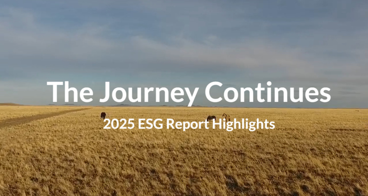 Giant Group publikuje raport ESG za 2025 rok
